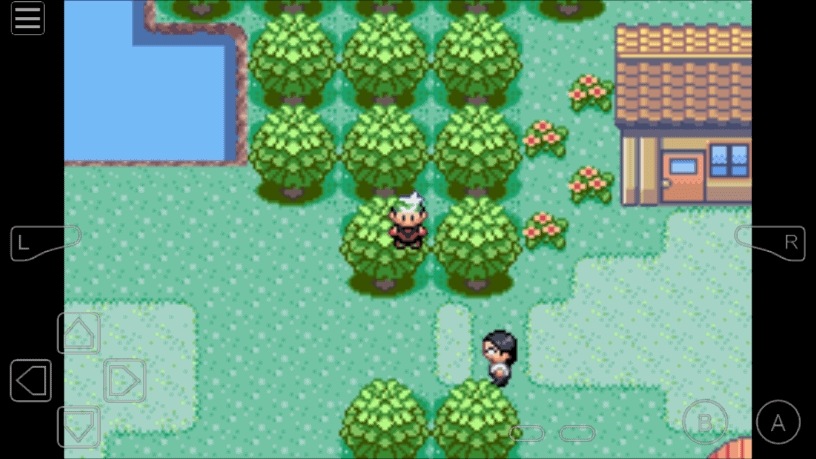 cheats for pokemon theta emerald ex